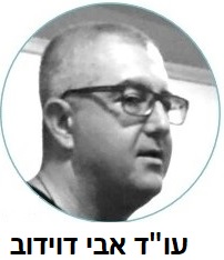 עורך דין אבי דוידוב רקע מקצועי 